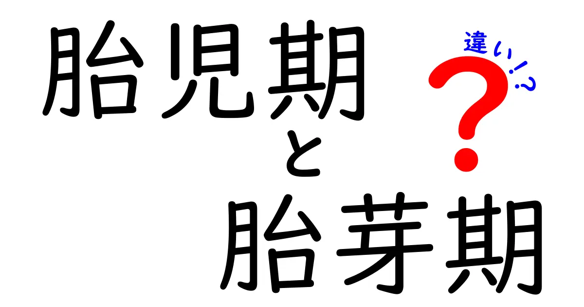 胎児期と胎芽期の違いをわかりやすく解説!いつ頃何が起きるのかを学ぼう