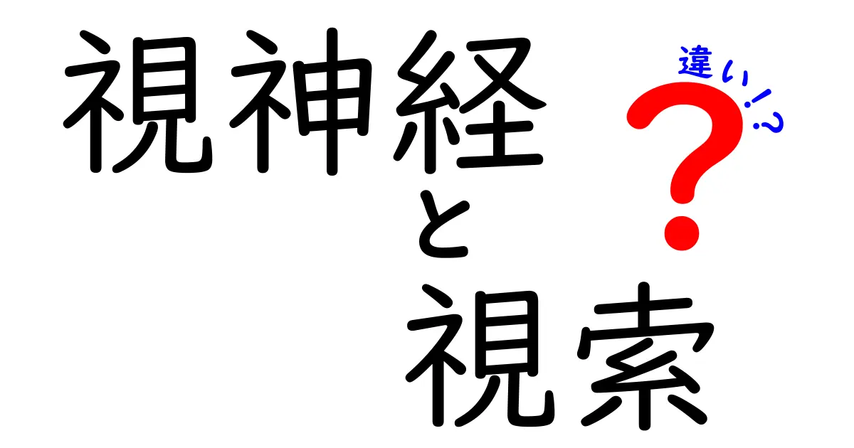 視神経と視索の違いを徹底解説!中学生にもわかる目の神経の秘密