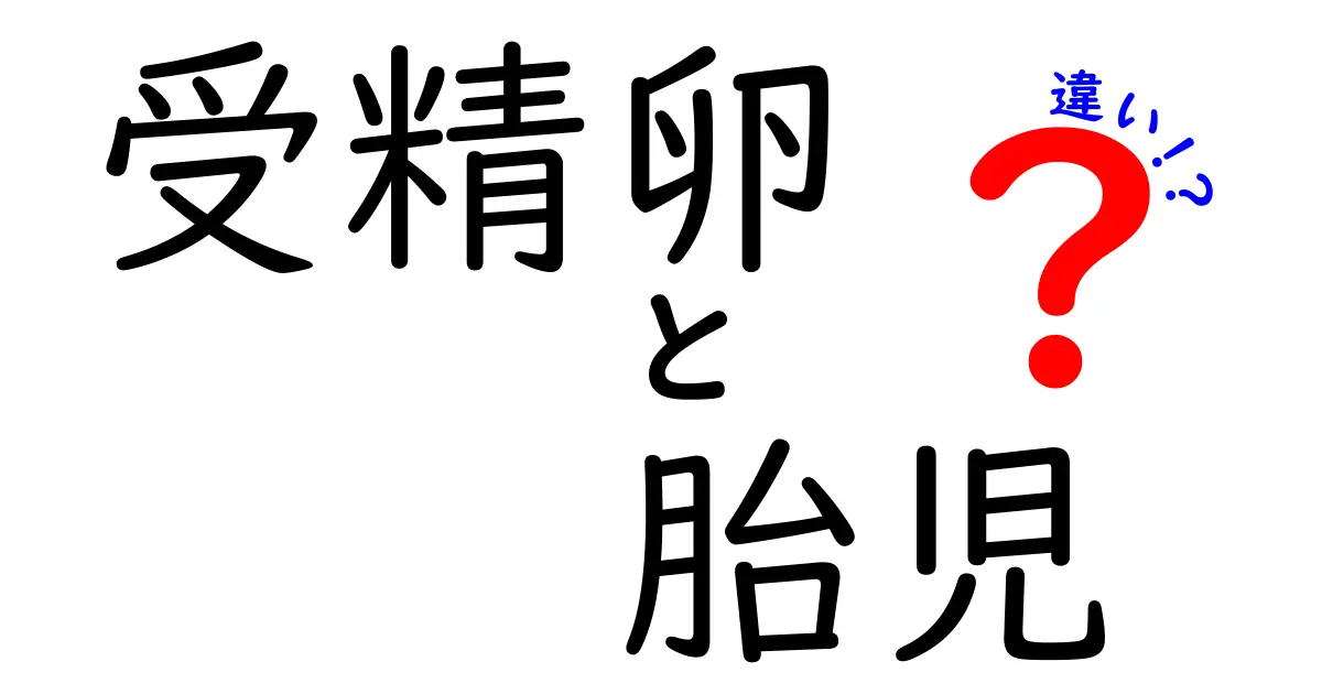 受精卵と胎児の違いを徹底解説!時系列で見る発生の秘密とよくある誤解