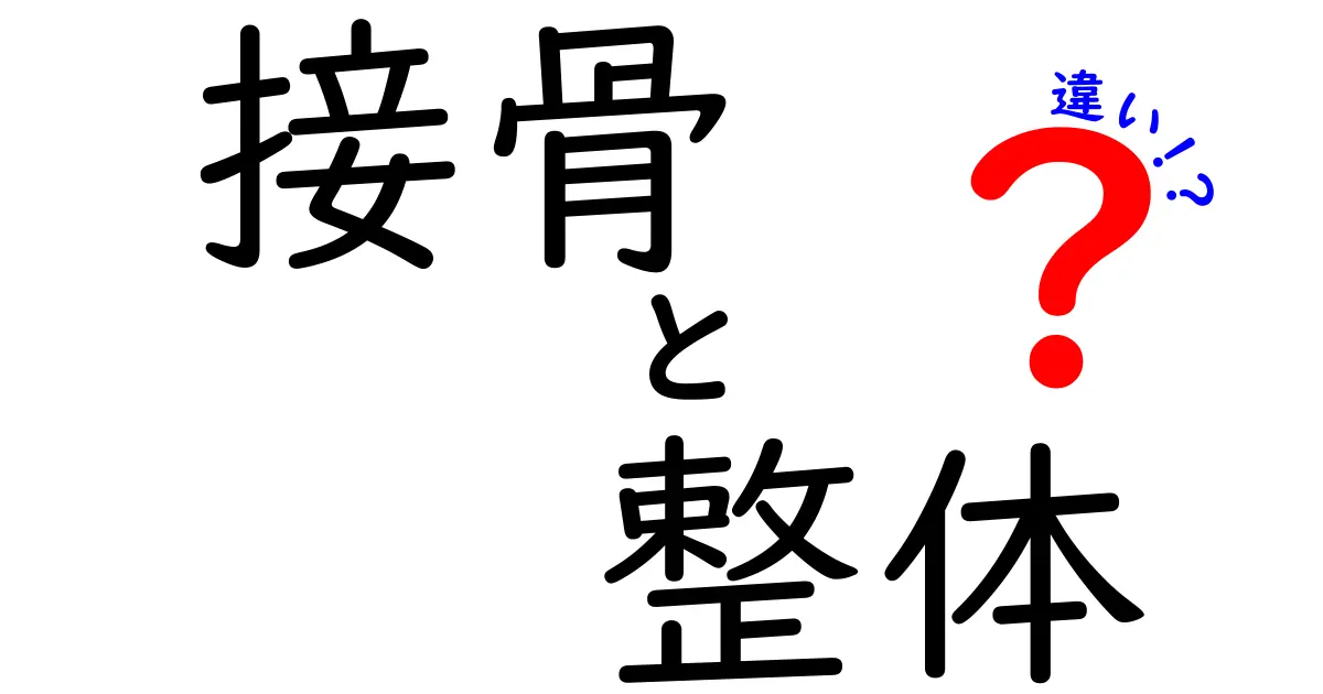 接骨と整体の違いを徹底解説！初心者でもわかる比較ガイド