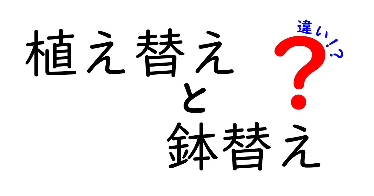 知っておきたい！植え替えと鉢替えの違いとは？初心者でもわかるポイント解説