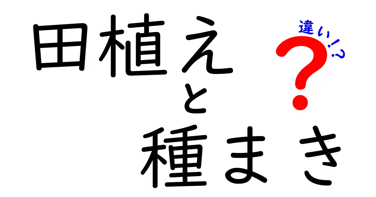 田植えと種まきの違いとは？初心者でもわかる農作業の基本ポイント解説