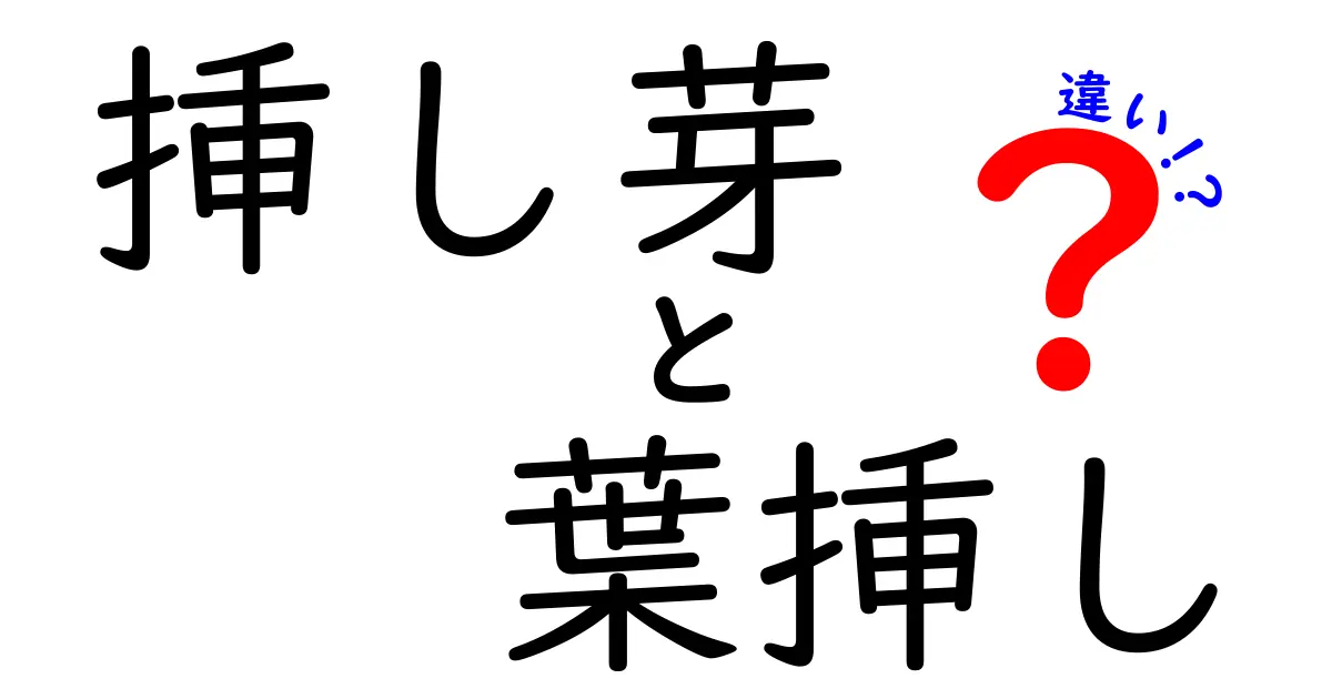 挿し芽と葉挿しの違いを徹底解説|初心者でも分かる育て方のコツ