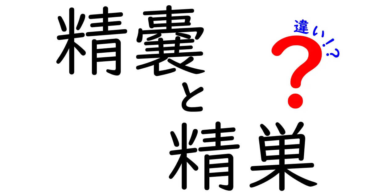 精嚢と精巣の違いを徹底解説!体の仕組みをやさしく理解するガイド