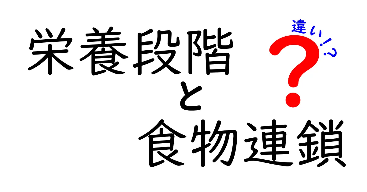 栄養段階と食物連鎖の違いを徹底解説!中学生にも分かる図解付きガイド