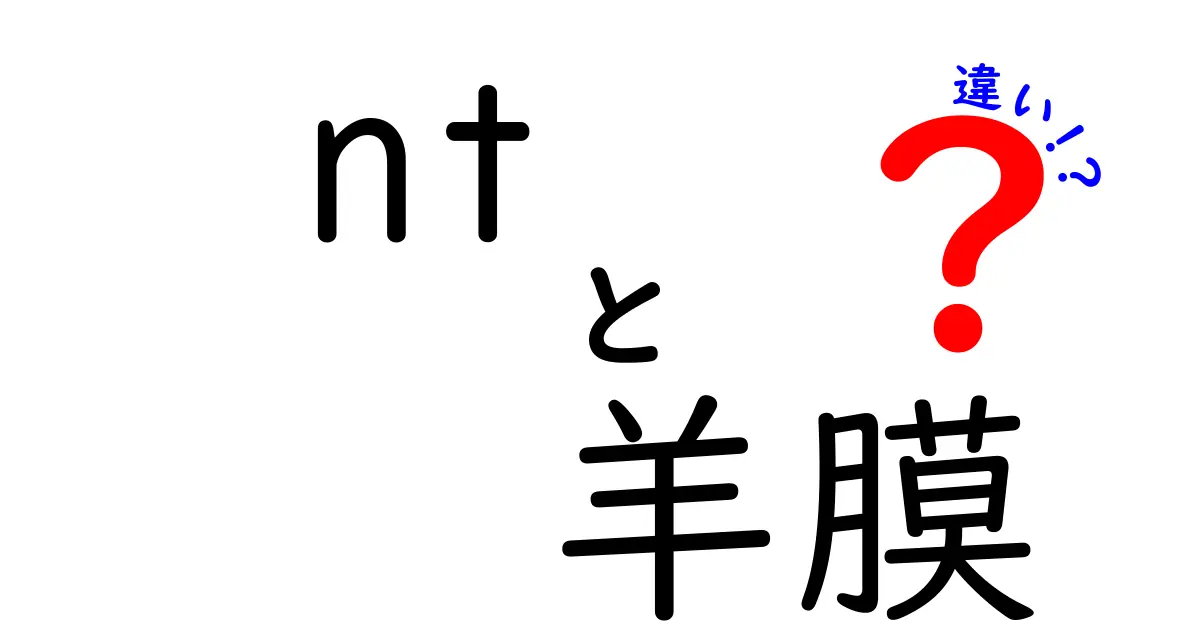 NTと羊膜の違いを徹底解説!妊娠初期の超音波で知っておくべきポイントとは