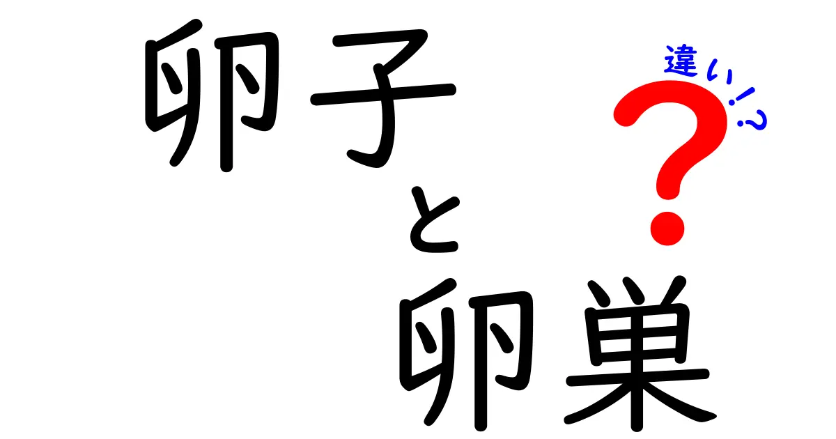 卵子と卵巣の違いがよくわかる徹底解説|中学生にもやさしい生物の基本