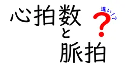 心拍数と脈拍の違いって？簡単にわかる健康管理の基本知識