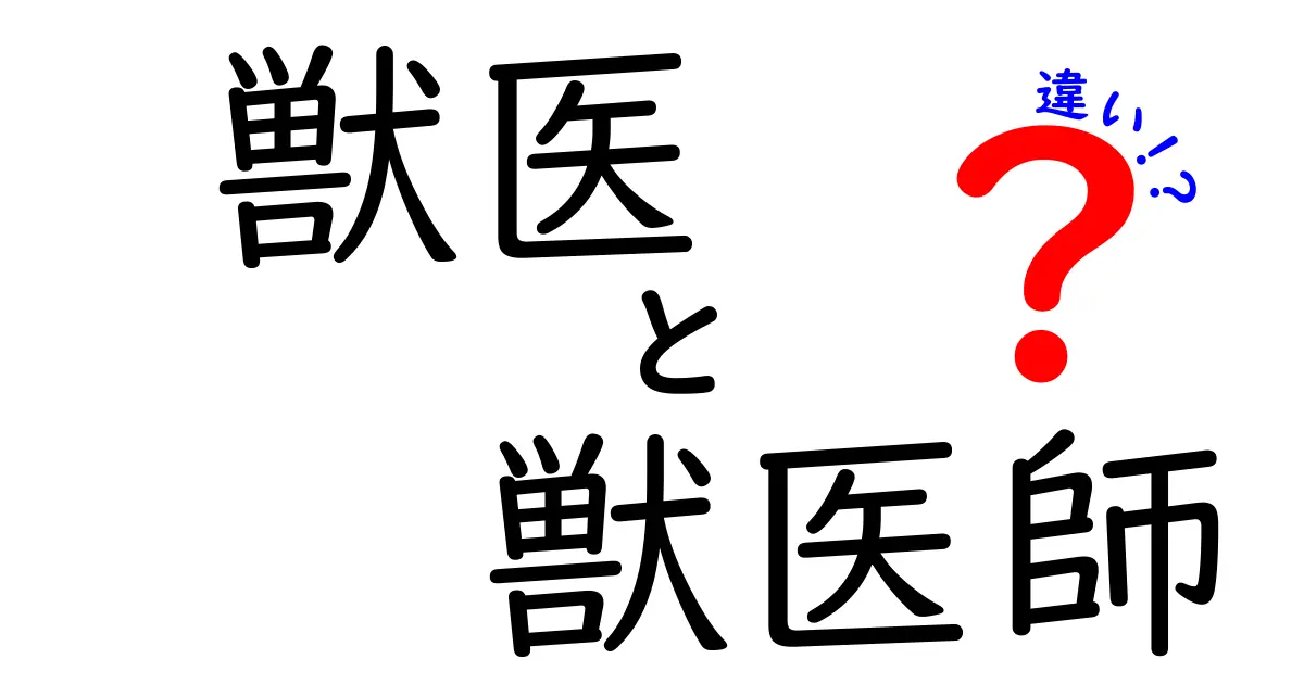 獣医と獣医師の違いを徹底解説!意味・資格・現場の使い分けを中学生にもわかりやすく