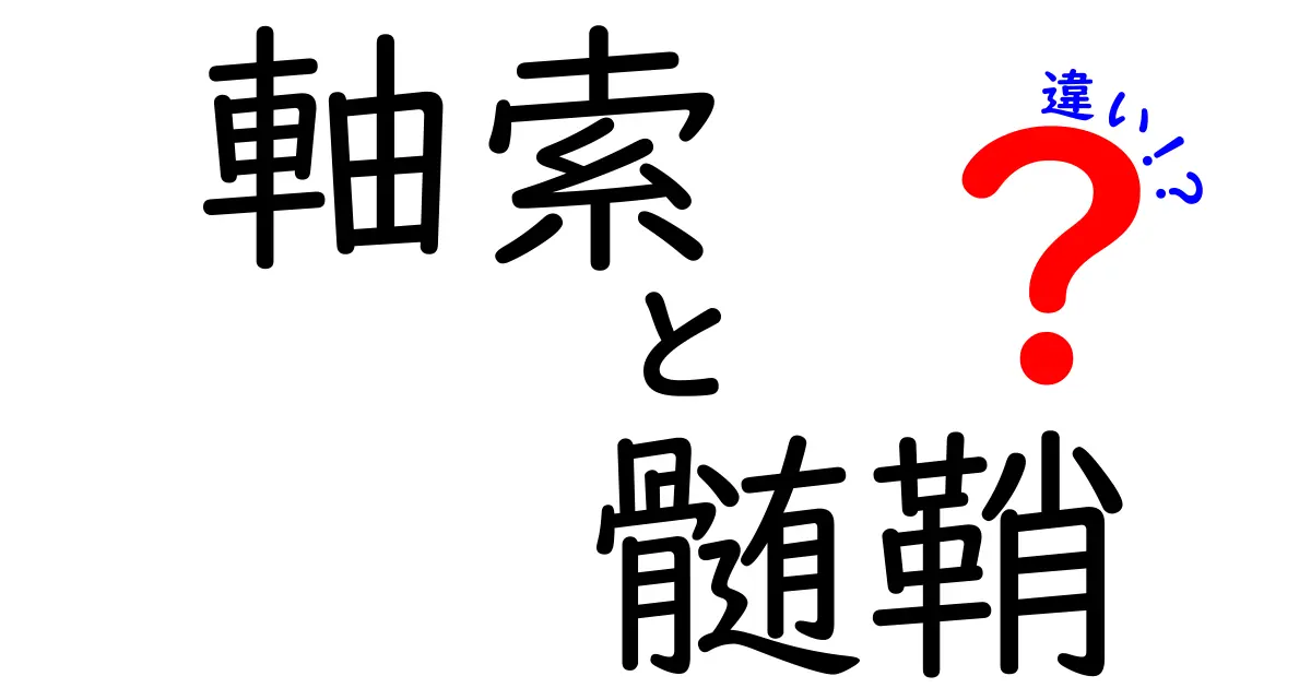 軸索と髄鞘の違いを徹底解説!神経の伝わり方を中学生にも分かる言葉で