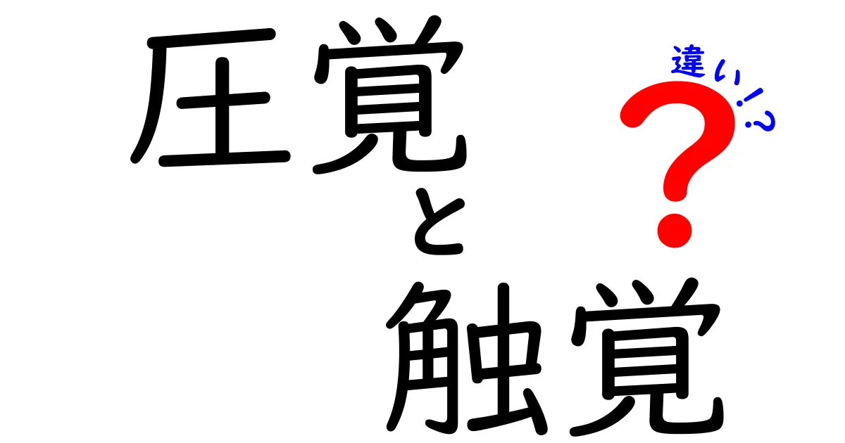 圧覚と触覚の違いとは?中学生でもわかる感覚の仕組み完全ガイド