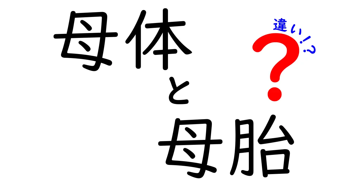 母体と母胎の違いを徹底解説 中学生にもわかるやさしい説明と使い分けのポイント
