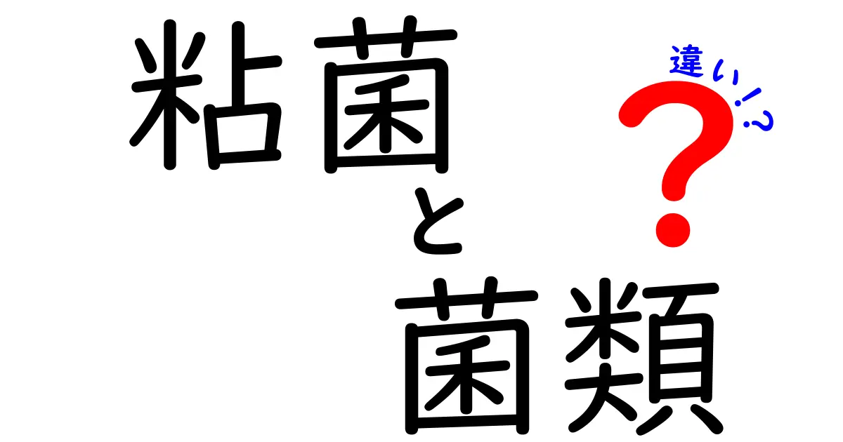 粘菌と菌類の違いをわかりやすく解説|日常観察で見分けるポイント
