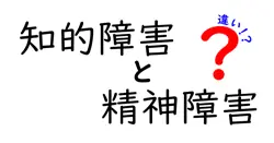 知的障害と精神障害の違いをわかりやすく解説！特徴や症状・サポート方法まで