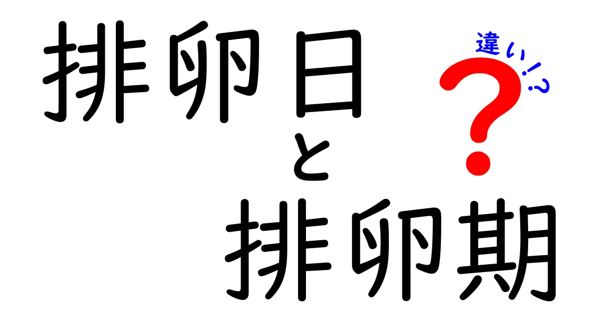排卵日と排卵期の違いを徹底解説|妊娠のタイミングを正しく理解する基本ガイド