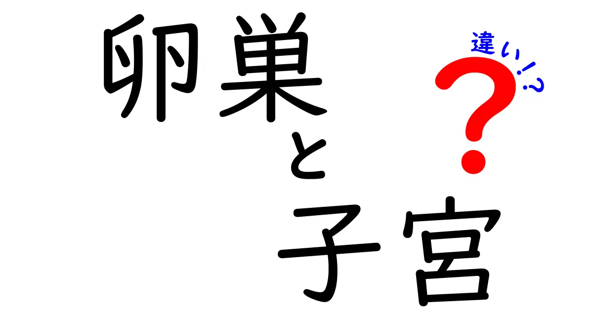卵巣と子宮の違いをわかりやすく徹底解説!
