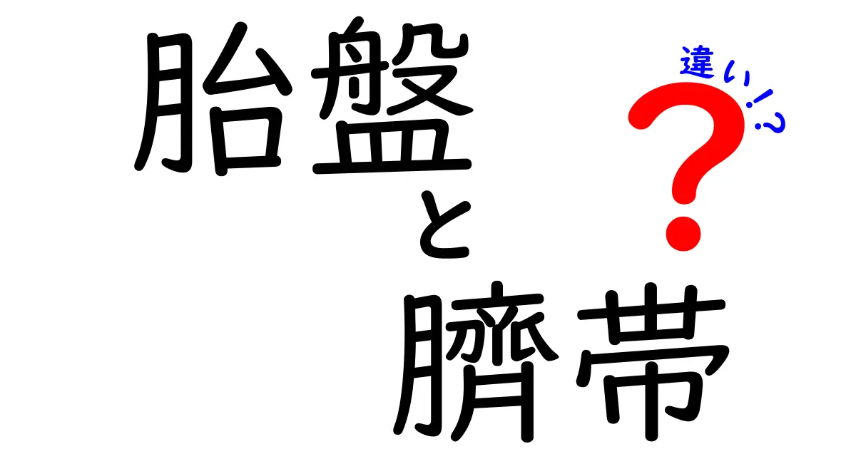 胎盤と臍帯の違いをわかりやすく解説！妊娠中に知っておきたい基礎知識