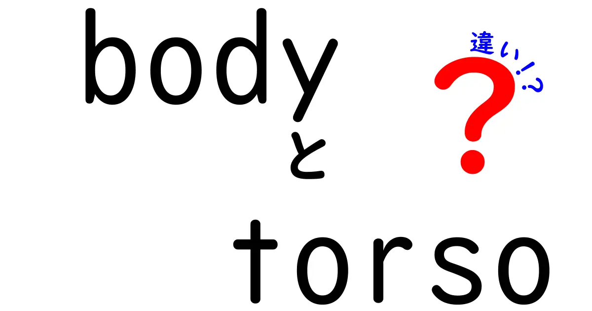 bodyとtorsoの違いを徹底解説 中学生にもわかる体の基礎用語