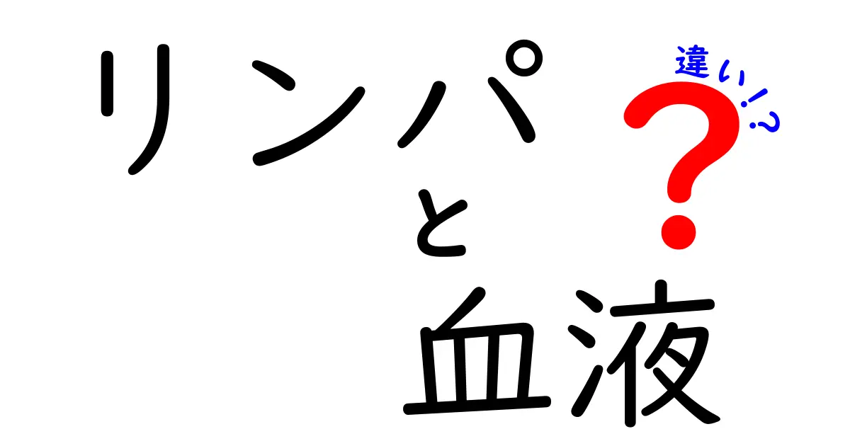 リンパと血液の違いを徹底解説｜体の回路を理解しよう（中学生にもやさしい解説）