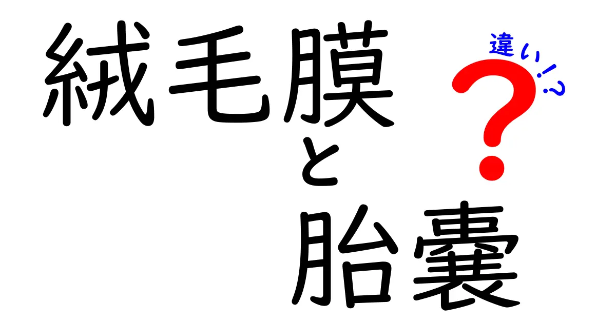 絨毛膜と胎嚢の違いとは?妊娠初期に知っておくべき基礎知識を徹底解説