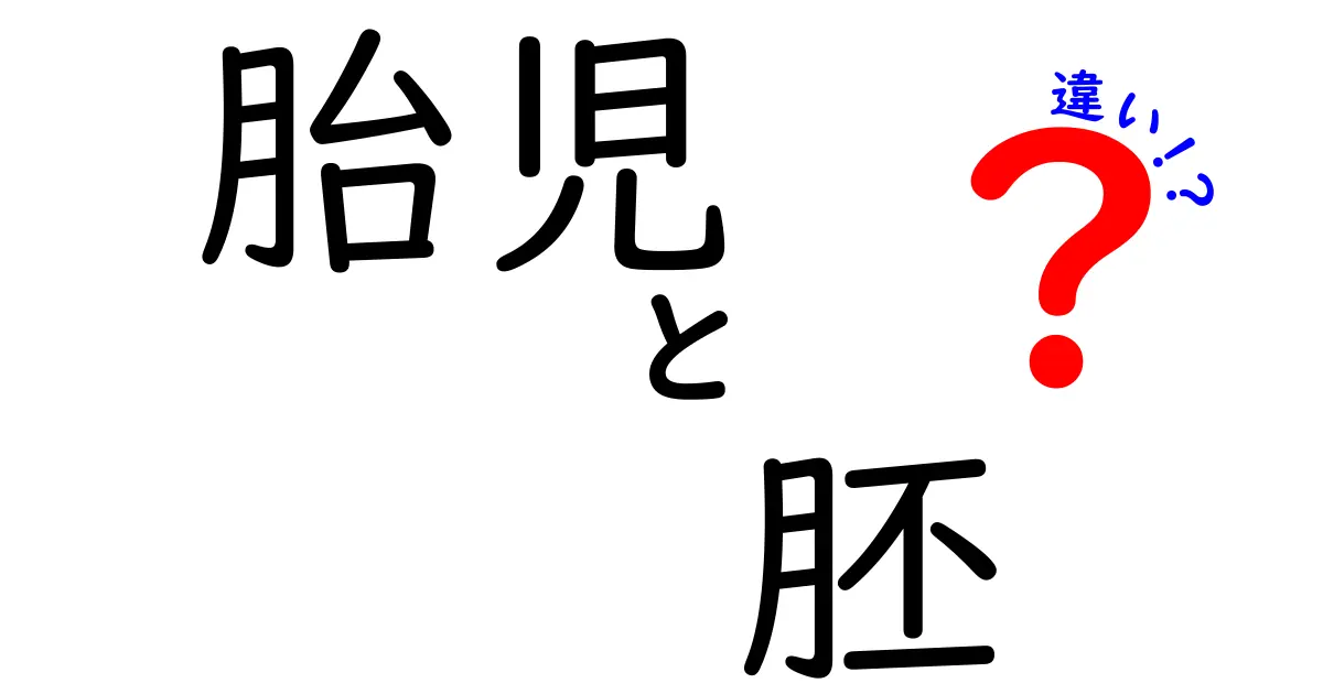 胎児と胚の違いを解説!中学生にもわかる成長の旅路と見分け方
