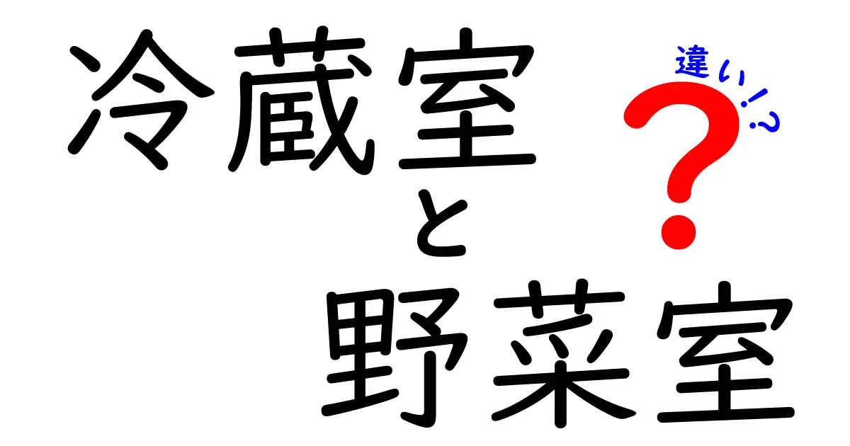 冷蔵室と野菜室の違いを徹底解説!使い分けがわかる保存のコツ