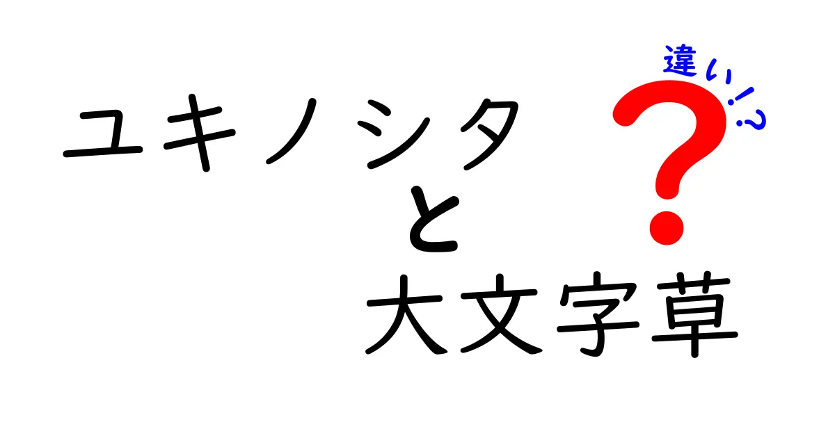 ユキノシタと大文字草の違いを徹底解説！見分け方と育て方のポイント大全