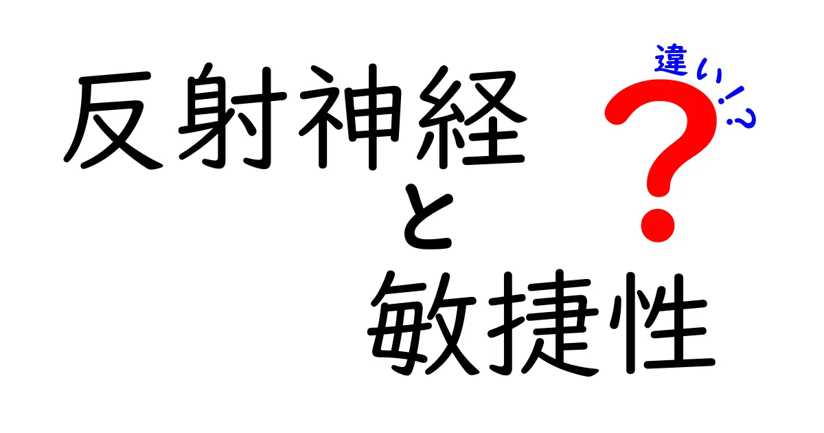 反射神経と敏捷性の違いを徹底解説! これで運動神経の謎がわかる