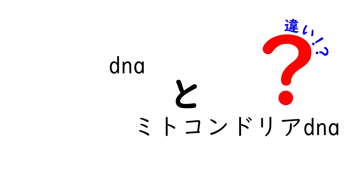 DNAとミトコンドリアDNAの違いを完全解説!中学生にもわかるポイントと実例
