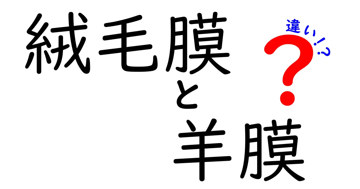 絨毛膜と羊膜の違いをわかりやすく解説!胎児を包む二つの膜の役割を徹底理解