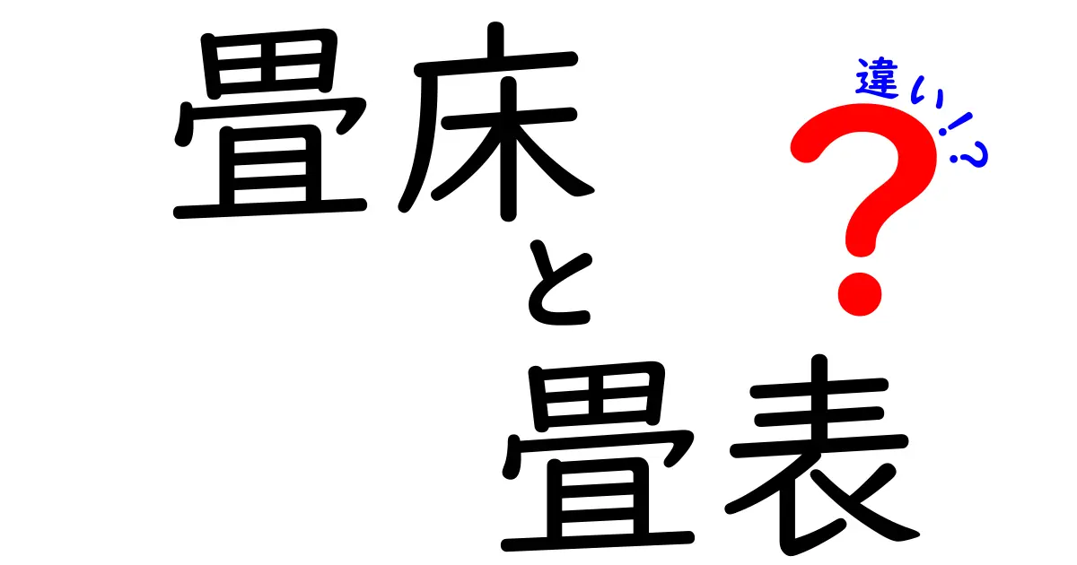 【初心者必見】畳床と畳表の違いをわかりやすく解説!耐久性や役割のポイントも紹介