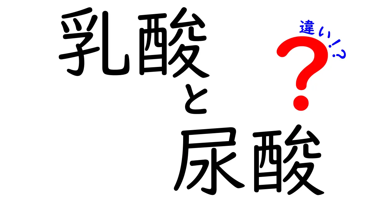 【わかりやすく比較】乳酸と尿酸の違いを徹底解説！健康の基礎知識