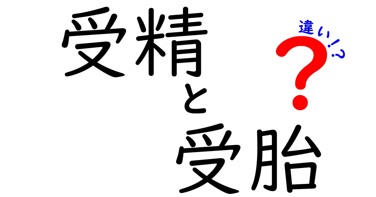思春期と青春の違いを徹底解説!中学生にも伝わるやさしいガイド