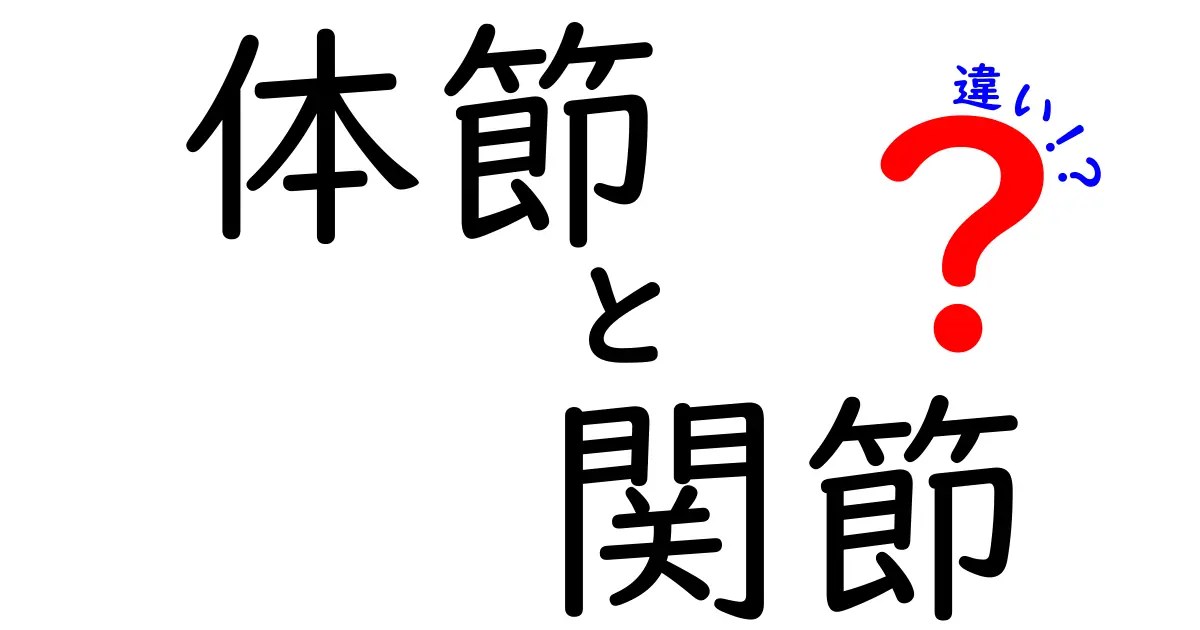 体節と関節の違いを徹底解説！体節は“区切り”、関節は“動く接続”— basics をやさしく学ぼう