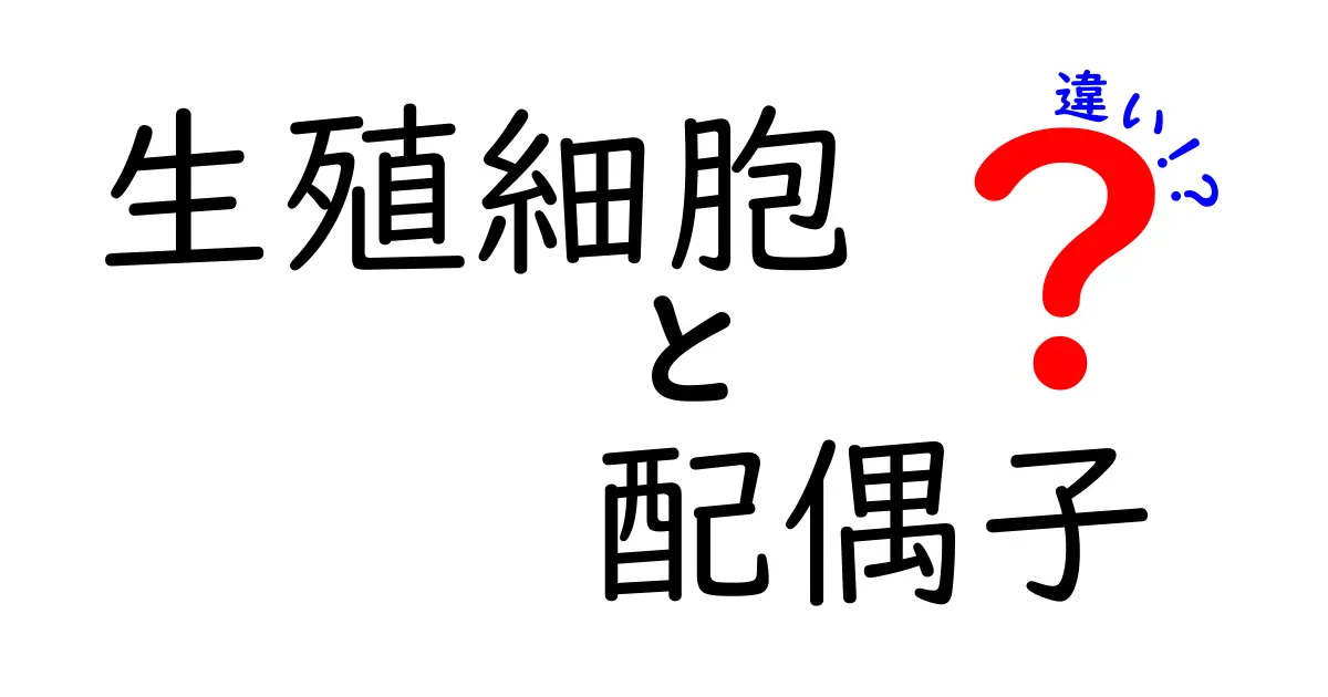 生殖細胞と配偶子の違いを徹底解説!中学生にもわかる生物の基本