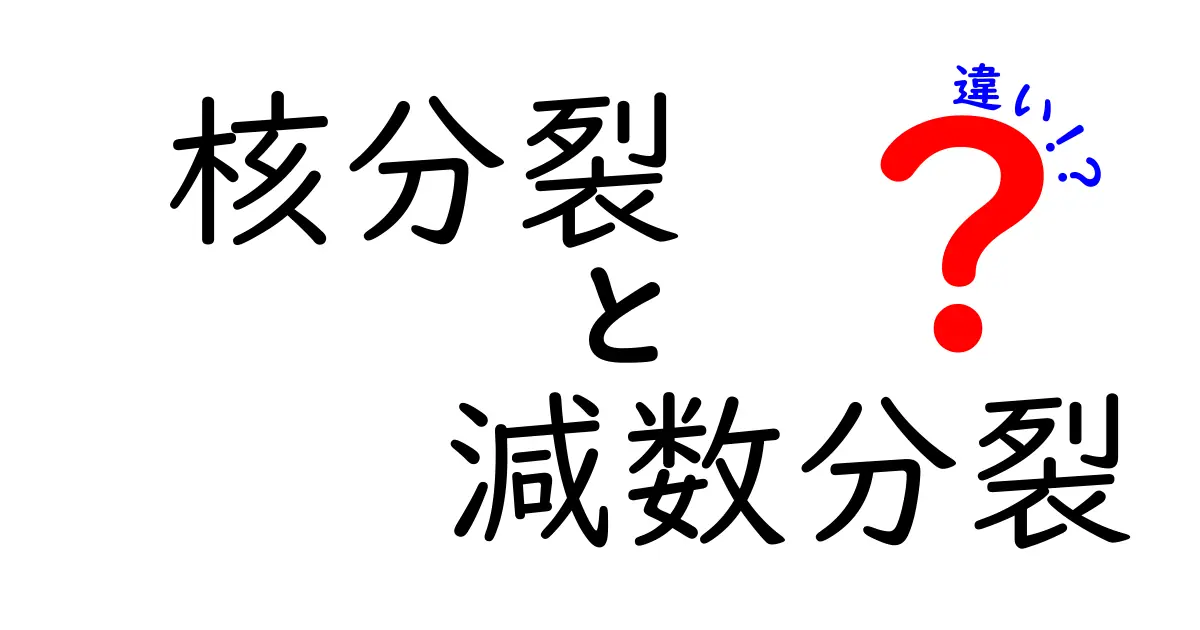 核分裂と減数分裂の違いを徹底解説!中学生にもわかる核の分裂メカニズムガイド