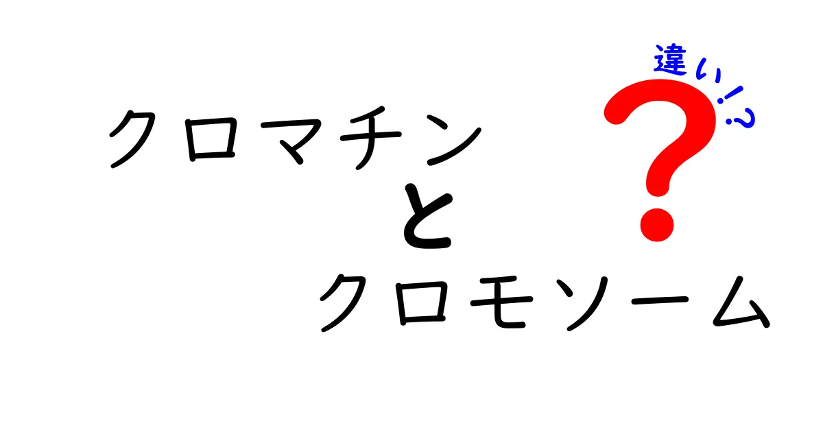 クロマチンとクロモソームの違いを徹底解説!遺伝情報の包みと機能の違いがつながる理由