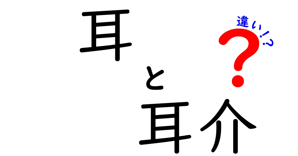 耳・耳介・違いをわかりやすく解説!耳の部位別の正しい意味と見分け方