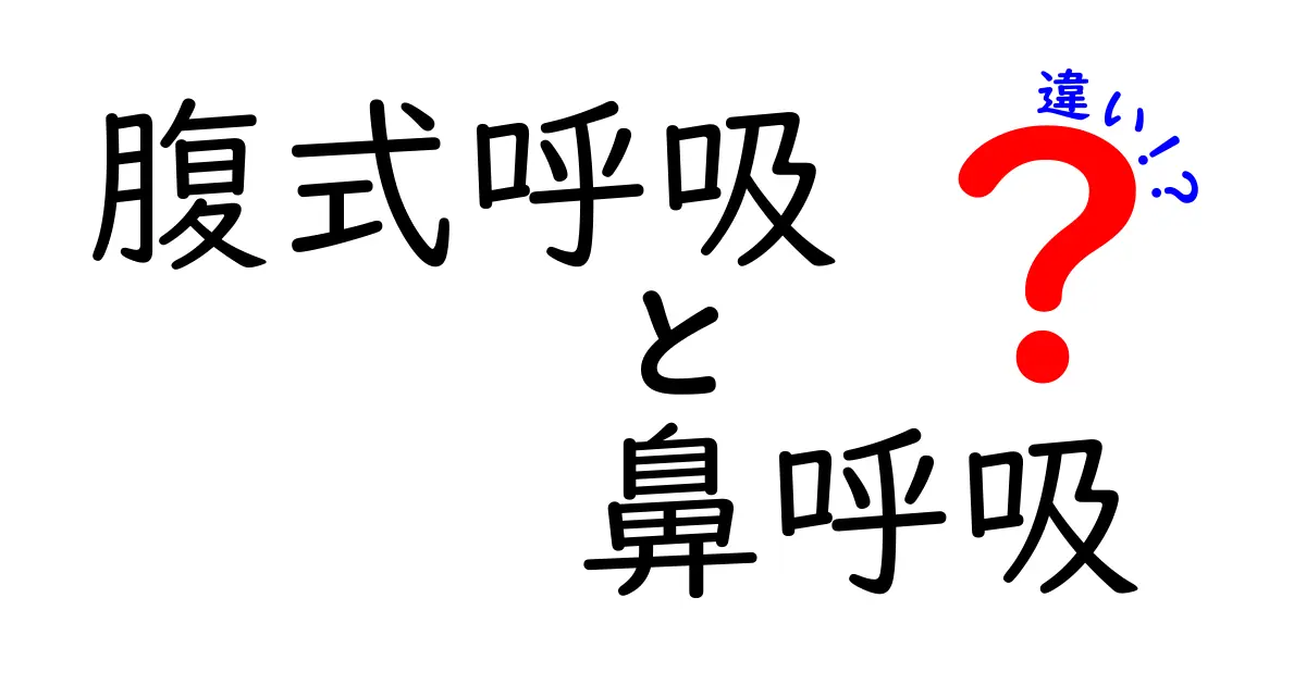 腹式呼吸と鼻呼吸の違いを徹底解説 これで呼吸が変わる実践ガイド