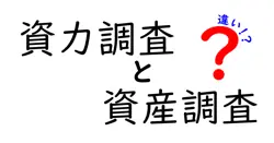 資力調査と資産調査の違いとは？初心者にもわかりやすく徹底解説！