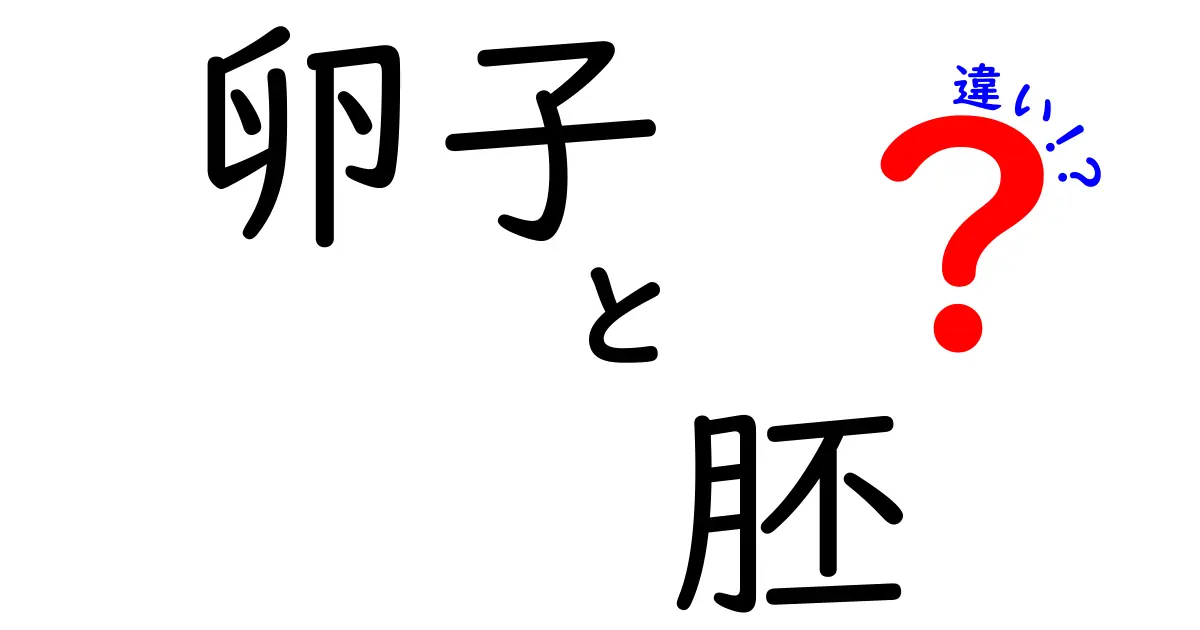 卵子と胚の違いを徹底解説！受精前後の役割と違いをやさしく理解しよう