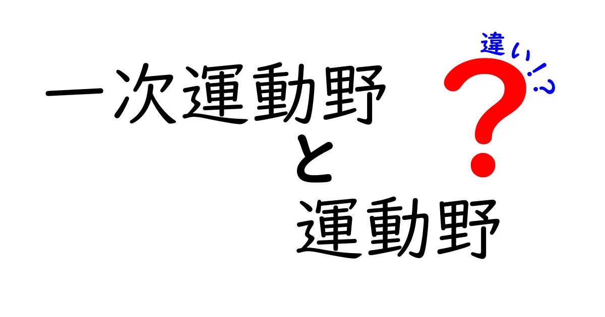 一次運動野 運動野 違いを完全ガイド:脳の運動を支える2つの領域の本当の違い
