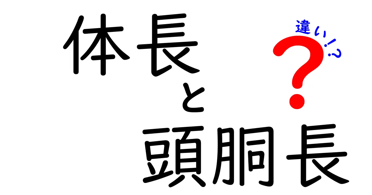 体長と頭胴長の違いを一目で理解する!測定法と用途をやさしく解説