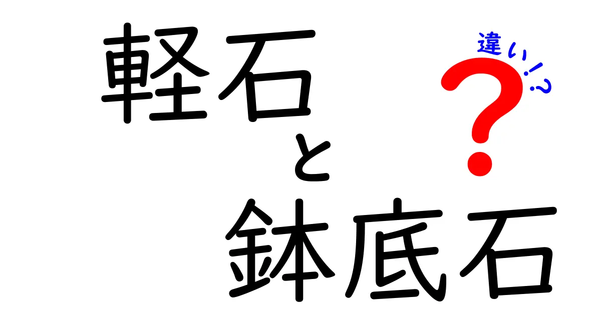 軽石と鉢底石の違いとは？初心者でもわかる使い分けガイド