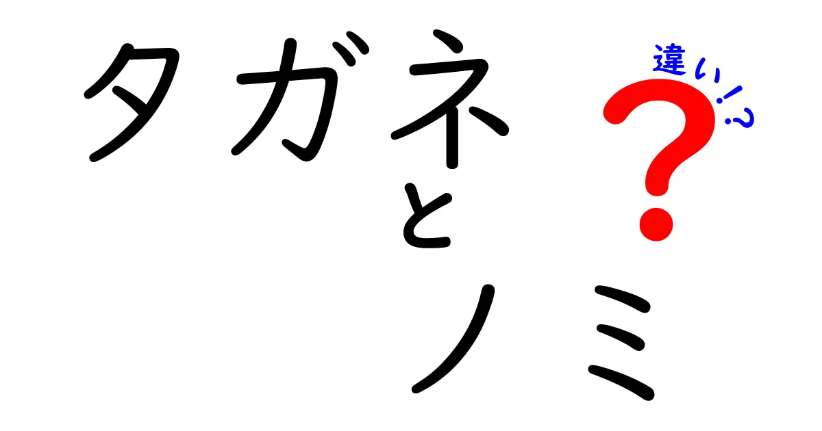 タガネとノミの違いを徹底解説!木工初心者でもわかる使い分けと選び方