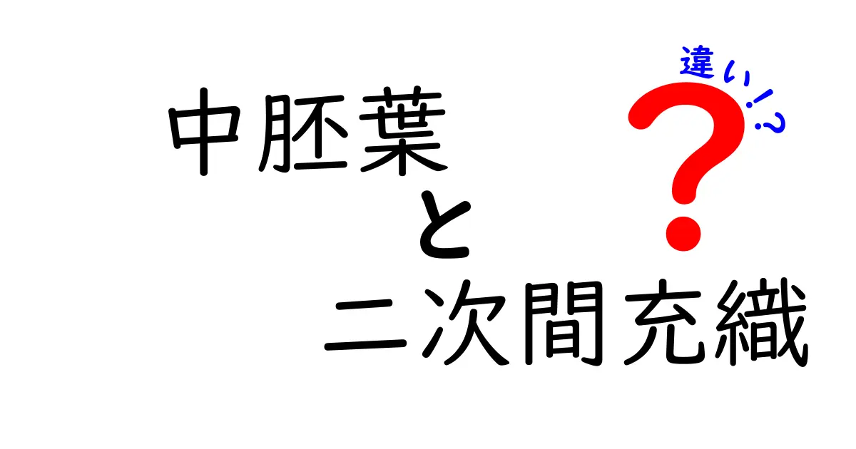 中胚葉と二次間充織の違いを徹底解説!中学生にも分かる図解つきの基礎講座