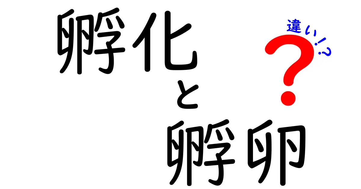 孵化と孵卵の違いを徹底解説！卵から生まれる秘密を中学生にもわかりやすく