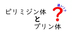 ピリミジン体とプリン体の違いを徹底解説！知っておきたい基礎知識と健康への影響