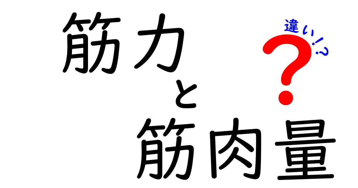 筋力と筋肉量の違いを徹底解説！あなたが知るべきポイントとは？