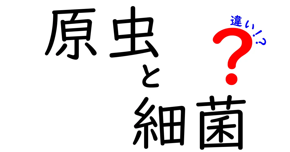 原虫と細菌の違いをわかりやすく解説|中学生にもできる見分け方と生活上のポイント